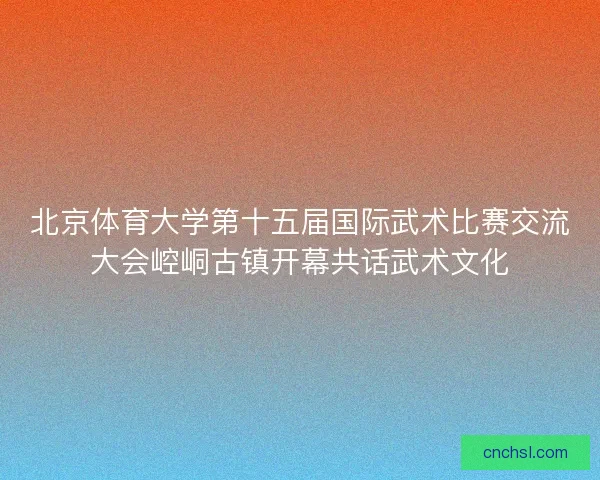 北京体育大学第十五届国际武术比赛交流大会崆峒古镇开幕共话武术文化